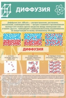 Стенд "Диффузия" - «globural.ru» - Сочи