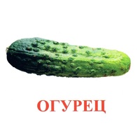 Карточки Домана "Овощи-Зелень-1" - «globural.ru» - Сочи