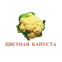 Карточки Домана "Овощи-Зелень-2" - «globural.ru» - Сочи