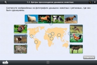 Интерактивные курсы. Биология 7 класс. Расширенный - «globural.ru» - Сочи