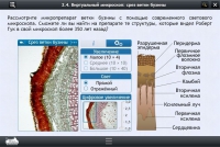 Интерактивные курсы. Биология 5 класс. Расширенный - «globural.ru» - Сочи