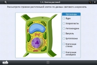 Интерактивные курсы. Биология 9 класс. Расширенный - «globural.ru» - Сочи