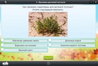 Интерактивные курсы. Окружающий мир 3 класс. Базовый - «globural.ru» - Сочи