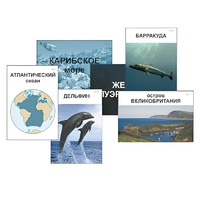 Модель-аппликация "Океаны. Знакомство" (ламинированная) - «globural.ru» - Сочи