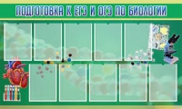 Стенд "Подготовка к ЕГЭ и ОГЭ по биологии" (вариант 2) - «globural.ru» - Сочи
