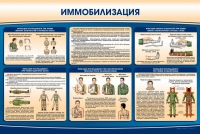 Стенд "Иммобилизация" - «globural.ru» - Сочи