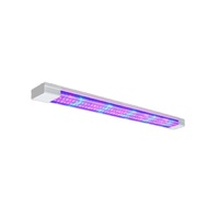 Фитолампа - «globural.ru» - Сочи