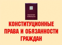 Комплект плакатов "Конституционные права и обязанности граждан" - «globural.ru» - Сочи