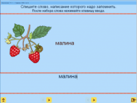 Русский язык. 1 класс. (Учебно-методический комплект). - «globural.ru» - Сочи