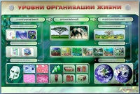 Электрифицированный стенд "Уровни организации жизни" - «globural.ru» - Сочи