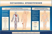 Электрифицированный стенд-тренажер "Остановка кровотечения" - «globural.ru» - Сочи
