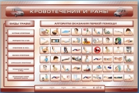 Трехсекционный базовый комплект "Травмы. Кровотечения. Ожоги" для учащихся общеобразовательных учреждений - «globural.ru» - Сочи
