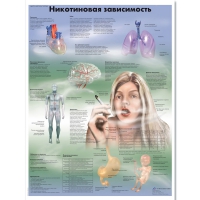 Плакат "Никотиновая зависимость", ламинированный, 50*67 см - «globural.ru» - Сочи