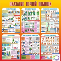 Стенд "Оказание первой помощи" - «globural.ru» - Сочи