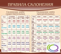 Стенд "Правила склонения" - «globural.ru» - Сочи