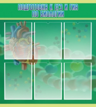 Стенд "Подготовка к ЕГЭ и ОГЭ по биологии" (вариант 1) - «globural.ru» - Сочи