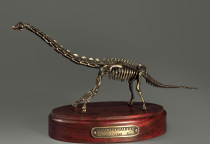 Модель скелета динозавра Brachiosaurus - «globural.ru» - Сочи