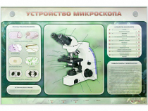 Электрифицированный стенд "Устройство микроскопа и правила работы c ним" - «globural.ru» - Сочи