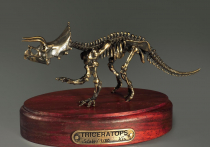 Модель скелета динозавра Triceratops - «globural.ru» - Сочи
