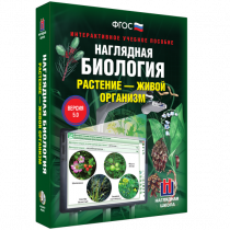 Наглядная биология. Растение - живой организм - «globural.ru» - Сочи