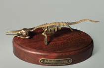Модель скелета ихтиозавра Ichthyosaurus - «globural.ru» - Сочи
