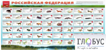 Стенд "Красная книга РФ" - «globural.ru» - Сочи