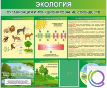 Стенд "Экология. Организация и функционирование сообществ" - «globural.ru» - Сочи