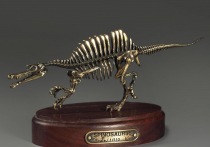Модель скелета динозавра Spinosaurus - «globural.ru» - Сочи
