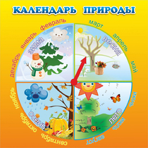 Стенд "Календарь природы" 0.5x0.5 - «globural.ru» - Сочи