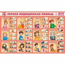 Стенд "Первая помощь" - «globural.ru» - Сочи