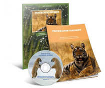Электронное наглядное пособие «Млекопитающие» - «globural.ru» - Сочи