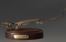 Модель скелета мозазавра Mosasaurus - «globural.ru» - Сочи