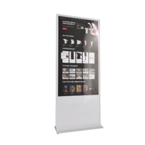 Интерактивный сенсорный киоск Nova 43" - «globural.ru» - Сочи