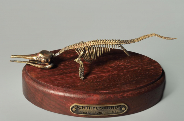 Модель скелета ихтиозавра Ichthyosaurus - «globural.ru» - Сочи