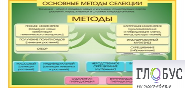 Стенд "Методы селекции и биотехнологии" - «globural.ru» - Сочи