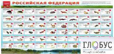 Стенд "Красная книга РФ" - «globural.ru» - Сочи