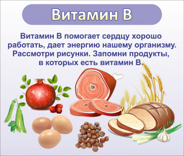 Стенд "Витамин В" - «globural.ru» - Сочи
