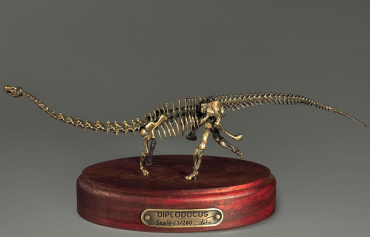 Модель скелета динозавра Diplodocus (вариант 1) - «globural.ru» - Сочи