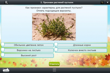 Интерактивные курсы. Окружающий мир 3 класс. Базовый - «globural.ru» - Сочи