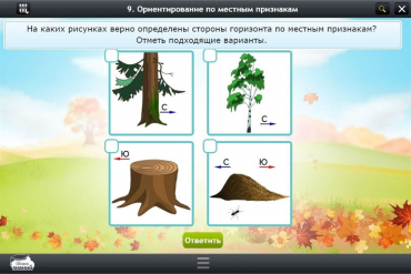 Интерактивные курсы. Окружающий мир 1 класс. Базовый - «globural.ru» - Сочи
