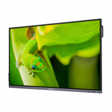 Интерактивный программно-аппаратный комплекс Geckotouch Interactive IP75GT-C в комплекте с настенным креплением - «globural.ru» - Сочи
