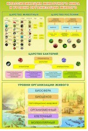 Стенд "Классификация животного мира" - «globural.ru» - Сочи